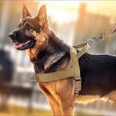 Dog Tactical Vest Nylon Outdoor Water-Repellent Dog Clothing Large and Medium-sized Dog Training Vest Harness Traction