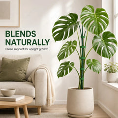 Climbing Plant Support Stakes Stackable Tall Poles with Ties Durable Plant Stem Holder for Indoor Outdoor Balcony Gardening