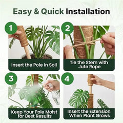 MOPHE-4-Piece Plant Stand Set - Plant Stumps For Indoor Climbing Plants - Coconut Shell Stumps And Rooftop, And Filodendrace