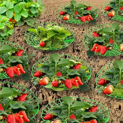 10/20pcs Green Strawberry Planting Racks, Watermelon Support Frames