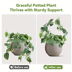 Round transparent acrylic plant stand, suitable for indoor and outdoor use, suitable for small climbing plants, etc.