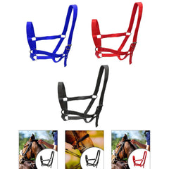 Strong PP Webbing Horse Halter Adjustable Padded Training Rope Harness Tack for Horse Riding and Groundwork
