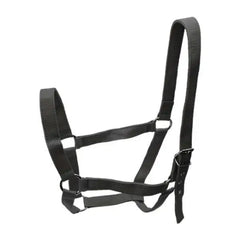 Strong PP Webbing Horse Halter Adjustable Padded Training Rope Harness Tack for Horse Riding and Groundwork