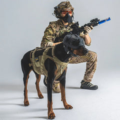 Tactical Dog Outdoor Hunting Training K9 Helmet, Large Dog Patrol Dogs Sheepdog Pet Motorcycle Protective Helmet with Goggles