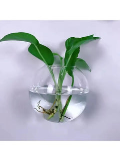 2/4/6/8 Pack Wall Hanging Glass Terrarium - Self-Watering Hydroponic
