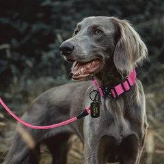 Personalized Tactical Dog Collar Adjustable Military Training Nylon Dog Collar with NamePlate Metal Buckle for Dogs