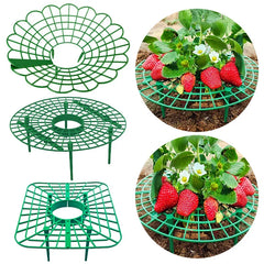 Green Strawberry Planting Stand Plastic Plant Support Cage Garden Anti-rot Strawberry Growing Racks Holder with 3/4Sturdy Legs