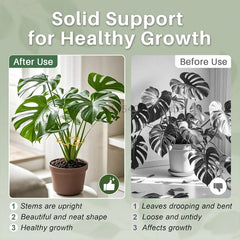 Plant Stand for Tall Houseplant Support Large Monstera Plant Stand Sturdy Climbing Stems Leaf Stabilizer Garden Plant Support