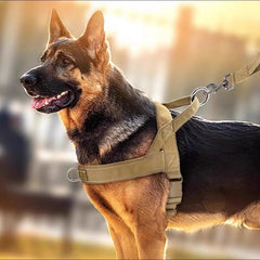 Dog Tactical Vest Nylon Outdoor Water-Repellent Dog Clothing Large and Medium-sized Dog Training Vest Harness Traction