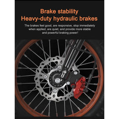 14-inch off-road tire E-Bike, built-in 3000W powerful motor electric bicycle, 60V21AH battery electric motorcycle mountain bike