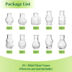 10/20pcs Mini Glass Vase Modern Clear Hydroponic Flower Vase Retro
