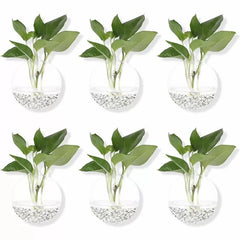 2/4/6/8 Pack Wall Hanging Glass Terrarium - Self-Watering Hydroponic
