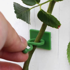 30pcs Invisible Plant Climbing Wall Hooks - Self-Adhesive, Reusable, Adjustable Vines Traction Holders for Indoor Outdoor Garden