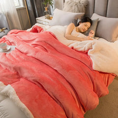 Sherpa Blanket Twin Warm Bed Blanket for Winter Cozy Soft Fuzzy Couch Throw Flannel Fleece/Wool Like Reversible Plush Blanket