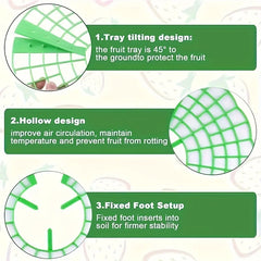 10pcs Green Strawberry Planting Racks, Watermelon Support Frames