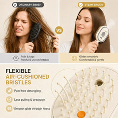 Electric Spray Air Cushion Comb for Women Retractable Hair Massage Brush for Thick Fine Curly Hair Electric Steam Brush for Hair