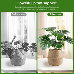 30/3Pcs Plant Support Pile Climbing Vine Stake Bonsai Fixing Rod Garden Plants Stake Holder Flower Support Rack For Potted Plant