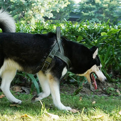 Outdoor Training Vest A7 Dog Traction Rope Dog Harness 1000D Nylon Adjustable Tactical Anti-Pull Dog Harness for Large Dogs