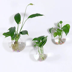 2/4/6/8 Pack Wall Hanging Glass Terrarium - Self-Watering Hydroponic