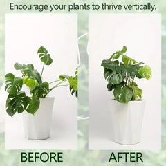 1Pc Large Monstera Plant Support Frame Sturdy Climbing Stems Leaf Stabilizer Outdoor Use for Tall Houseplant Hanging Plant Stand