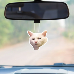 1pc Funny Cat Design Car Aromatherapy Tablet, Car Fragrance Tablet