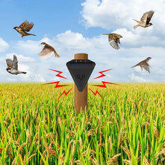Waterproof Solar bird repeller timed sound and light alarm during the day Protecting crops orchard fish field to repel pigeons