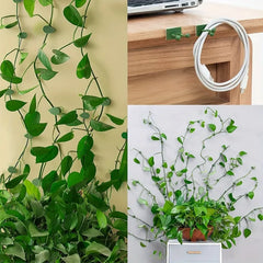 30pcs Invisible Plant Climbing Wall Hooks - Self-Adhesive, Reusable, Adjustable Vines Traction Holders for Indoor Outdoor Garden