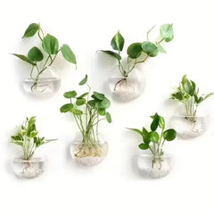 2/4/6/8 Pack Wall Hanging Glass Terrarium - Self-Watering Hydroponic