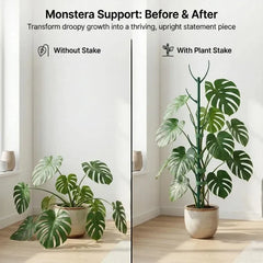 Potted Plant Support Piles Stackable Gardening Green Support Frame Climbing Vine Bonsai Fixing Rods Stakes Holder Support Racks