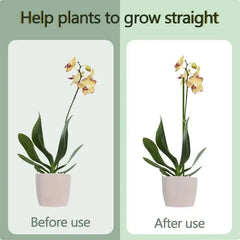 Plant Support Stakes with Orchid Clips Ties Bendable Single Stem Support Rods Holder Sticks for Potted Plants Flowers Vegetables
